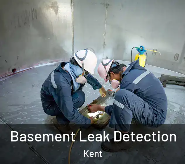  Basement Leak Detection Kent