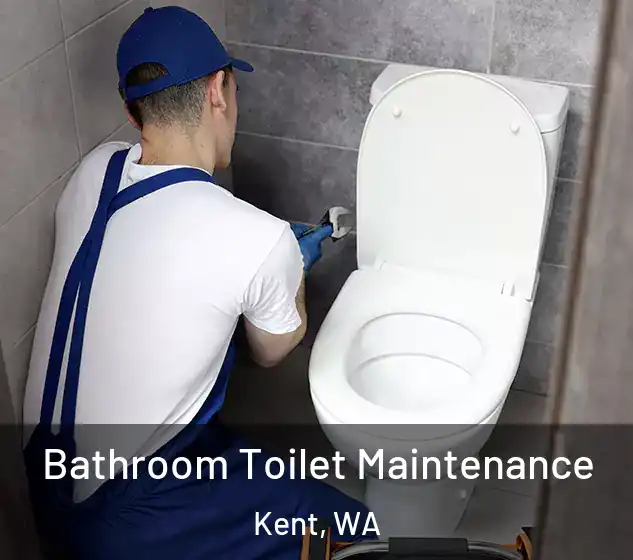  Bathroom Toilet Maintenance Kent, WA