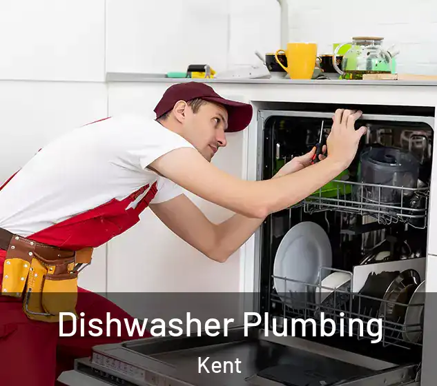  Dishwasher Plumbing Kent