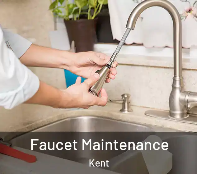  Faucet Maintenance Kent