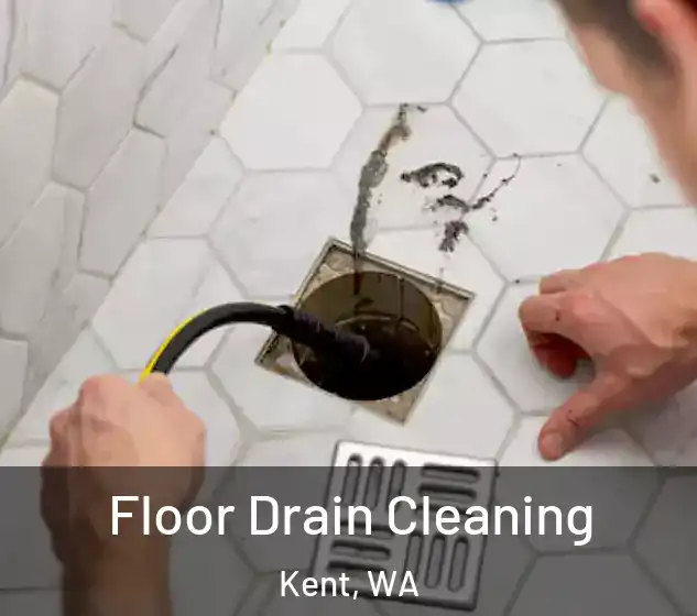  Floor Drain Cleaning Kent, WA