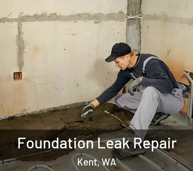  Foundation Leak Repair Kent, WA