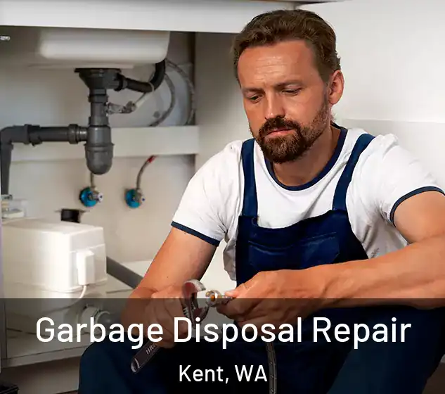  Garbage Disposal Repair Kent, WA