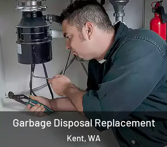  Garbage Disposal Replacement Kent, WA