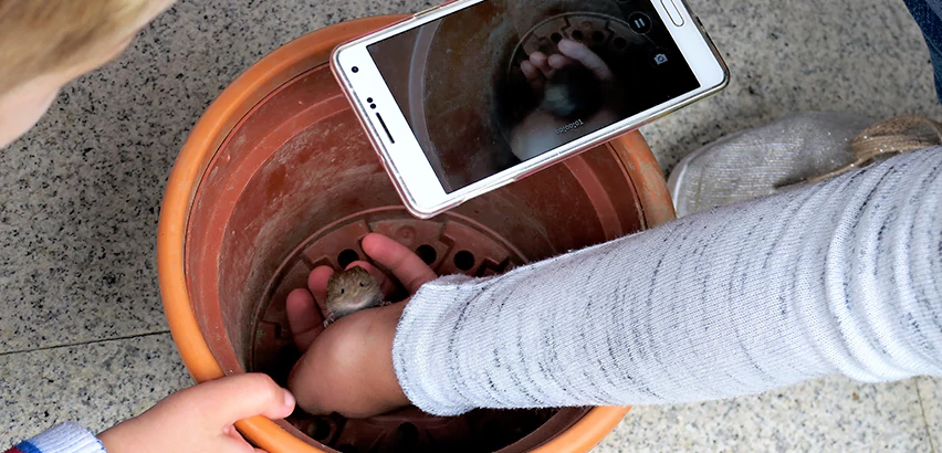 Scope of Drain Camera Inspection Services in Kent, WA