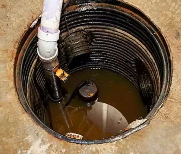 Meet Our Local Kent, WA Plumbing Team