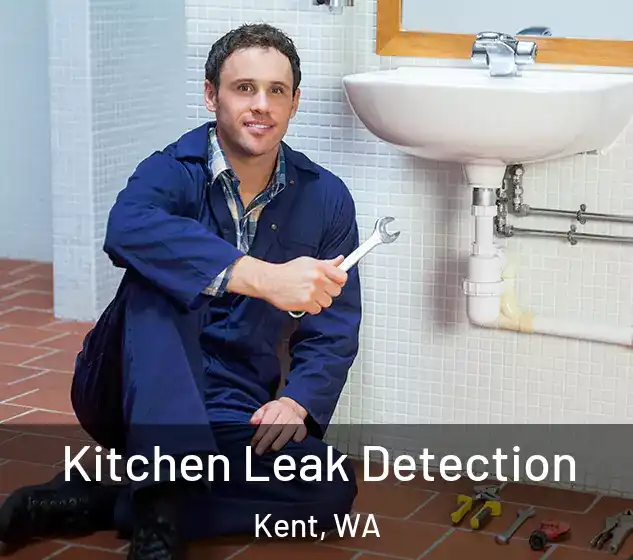  Kitchen Leak Detection Kent, WA