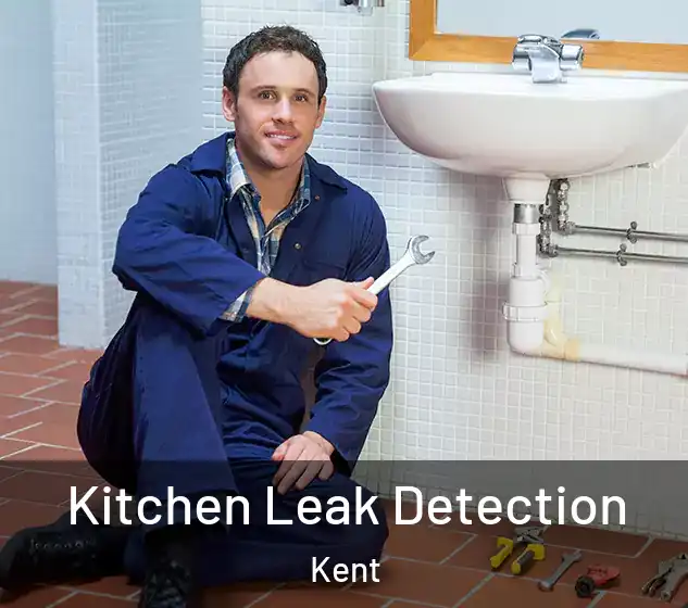  Kitchen Leak Detection Kent