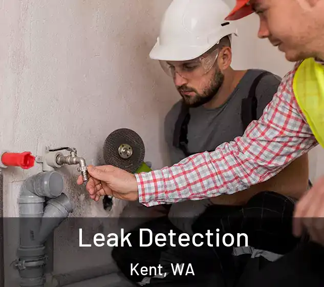  Leak Detection Kent, WA