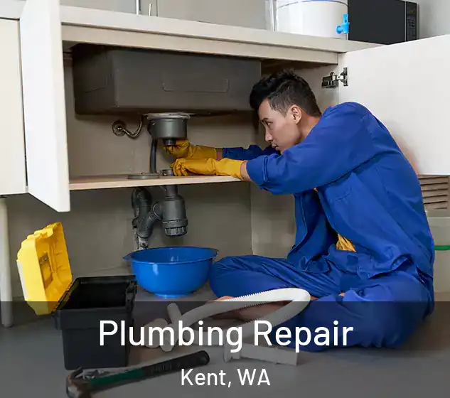 Plumbing Repair Kent, WA