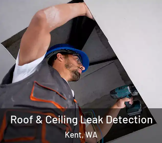  Roof & Ceiling Leak Detection Kent, WA