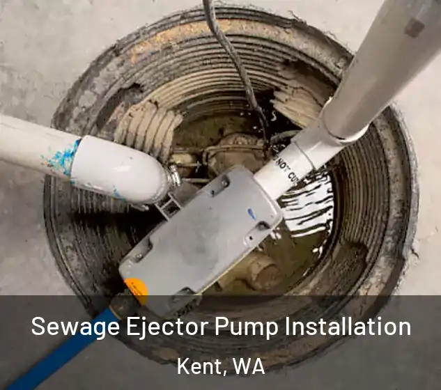  Sewage Ejector Pump Installation Kent, WA