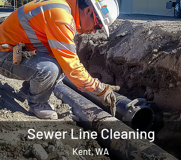  Sewer Line Cleaning Kent, WA