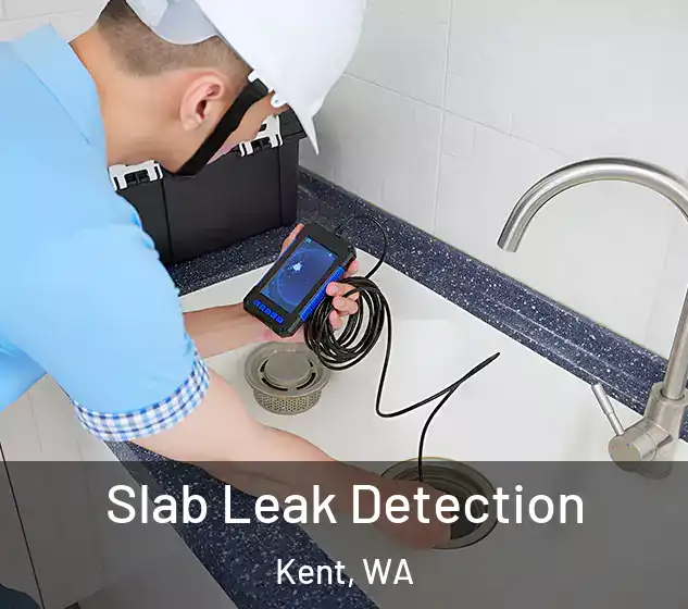  Slab Leak Detection Kent, WA