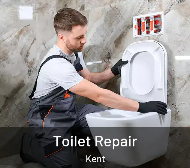  Toilet Repair Kent