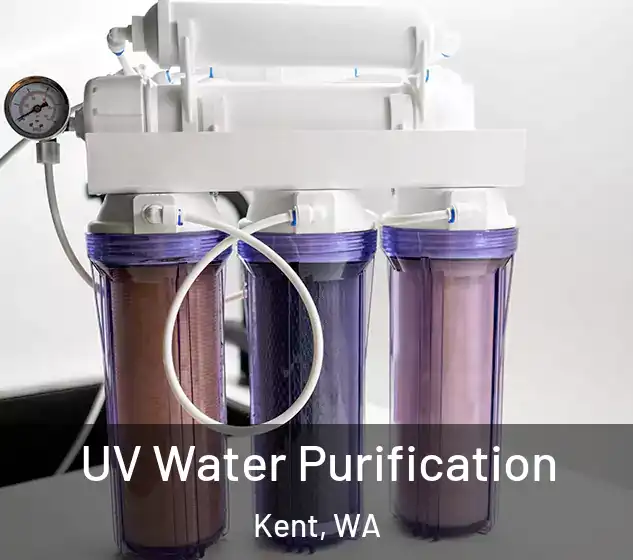  UV Water Purification Kent, WA