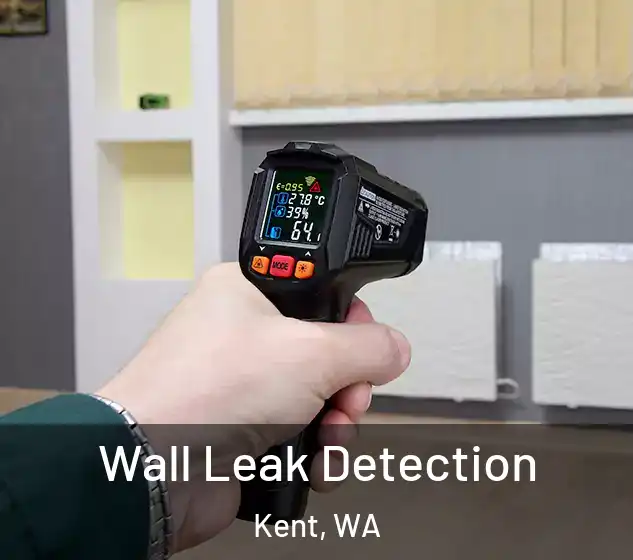  Wall Leak Detection Kent, WA