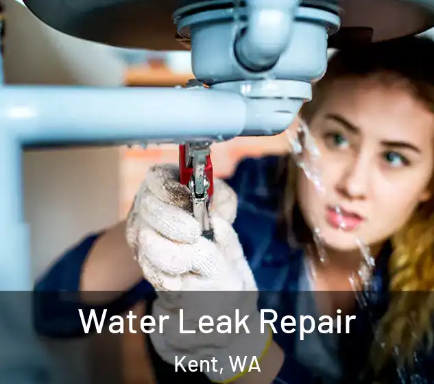  Water Leak Repair Kent, WA